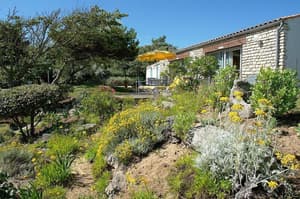 thumbnail: Garden