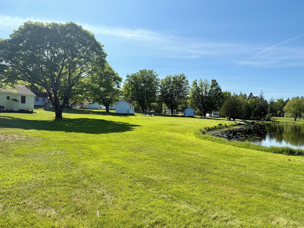 Lake view