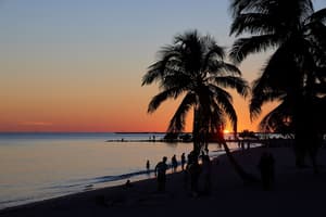 thumbnail: Outdoor dining