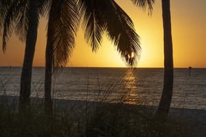 thumbnail: Beach
