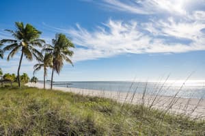 thumbnail: Beach