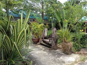 thumbnail: General view