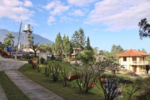 thumbnail: Garden