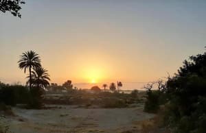 thumbnail: General view