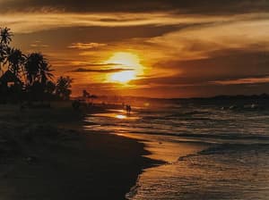 thumbnail: Beach