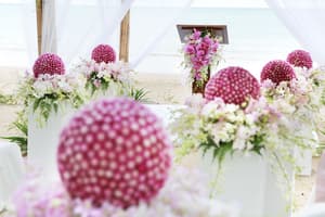 thumbnail: Outdoor wedding area