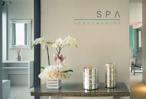 thumbnail: Spa reception