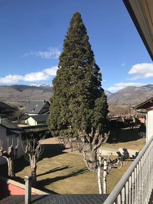 thumbnail: Mountain view