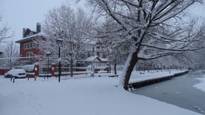 thumbnail: Garden