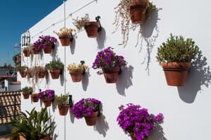 thumbnail: Rooftop terrace