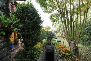 thumbnail: Garden