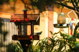 thumbnail: Garden