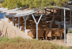 thumbnail: Outdoor dining