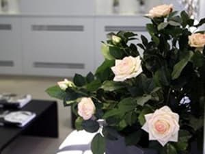 thumbnail: 9f763af91267a7ff8007afcc5ec20b20.jpg