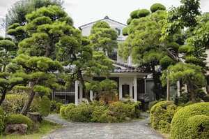 thumbnail: Garden