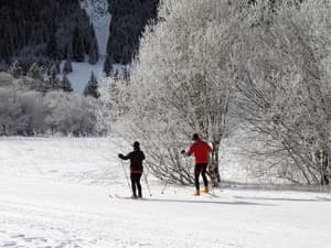 thumbnail: Snow and ski sports