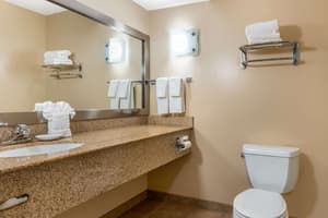 thumbnail: Accessible bathroom