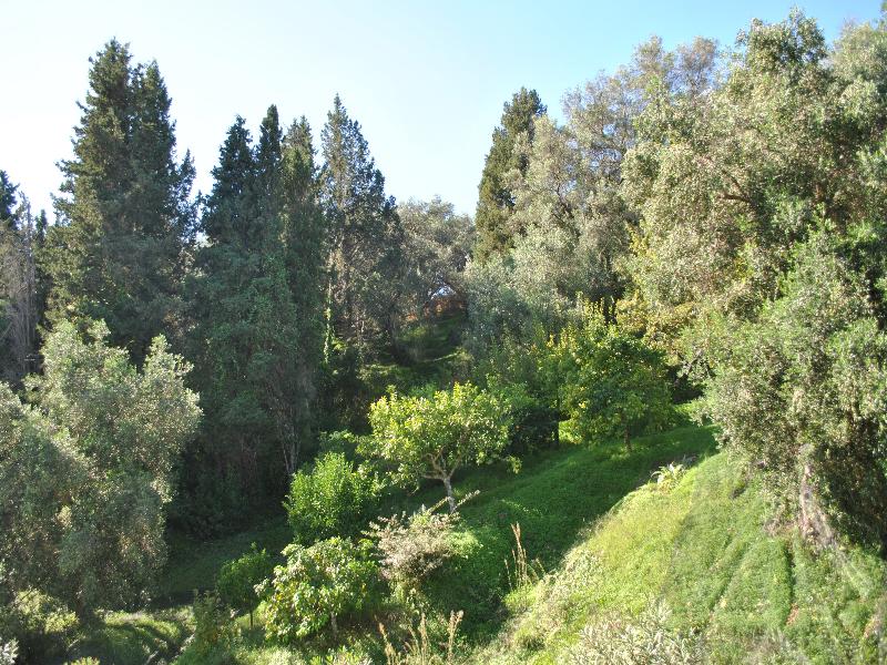 General view