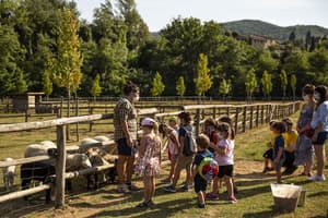 thumbnail: Children's play area - outdoor