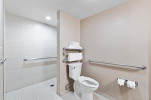 thumbnail: Accessible bathroom