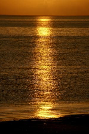 thumbnail: Beach