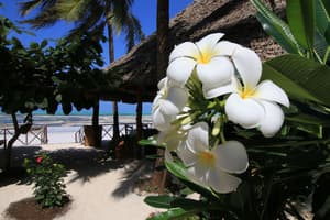 thumbnail: Beach
