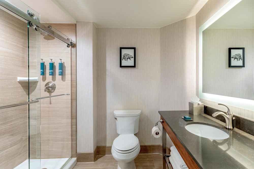 Bathroom shower