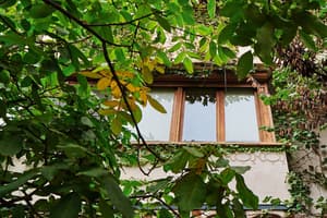 thumbnail: Terrace/patio