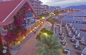 thumbnail: Aerial view