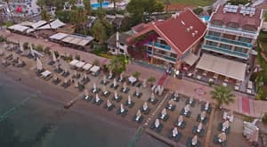 thumbnail: Aerial view