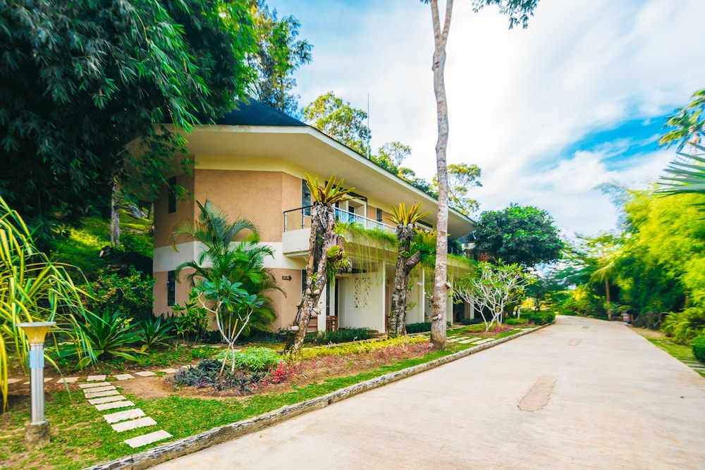 Garden view