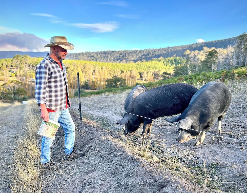 Land view from property