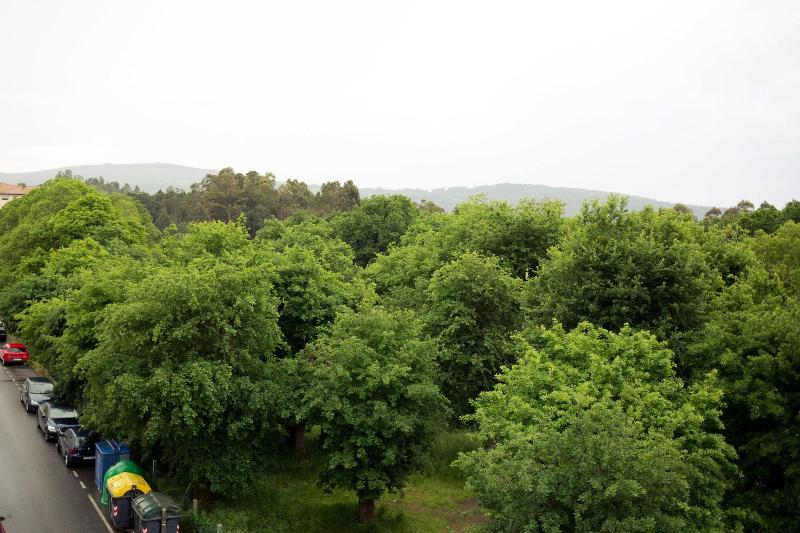General view