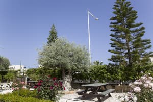 thumbnail: Terrace/patio