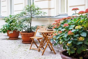thumbnail: Courtyard