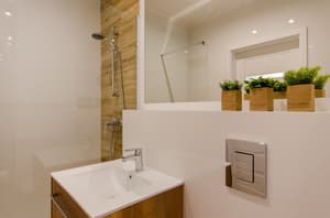 thumbnail: Bathroom shower