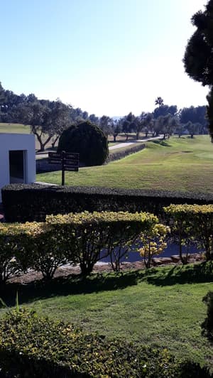 thumbnail: Golf