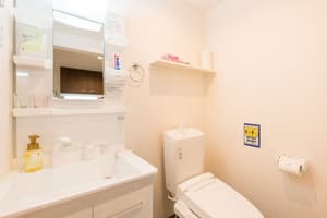 thumbnail: Bathroom sink