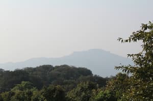 thumbnail: View from property