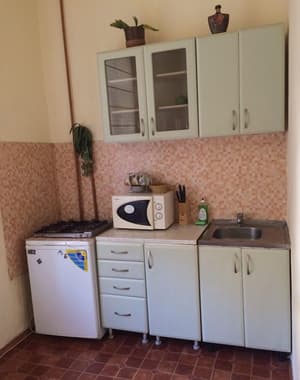 thumbnail: Private kitchenette