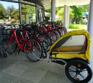 thumbnail: Bicycling