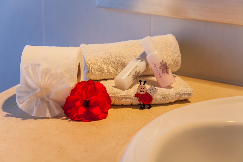 Bathroom amenities