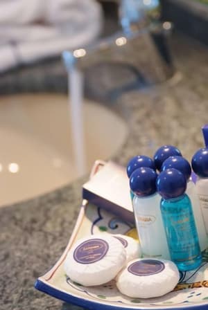 thumbnail: Bathroom amenities