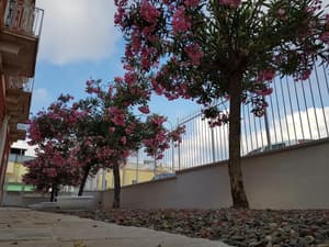 thumbnail: Property grounds