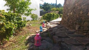 thumbnail: Garden