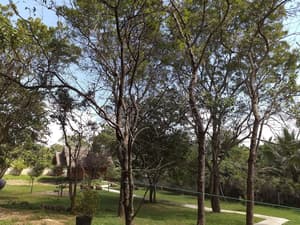 thumbnail: Property grounds