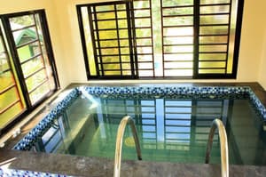 thumbnail: Indoor spa tub