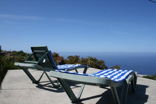 307988468.jpg