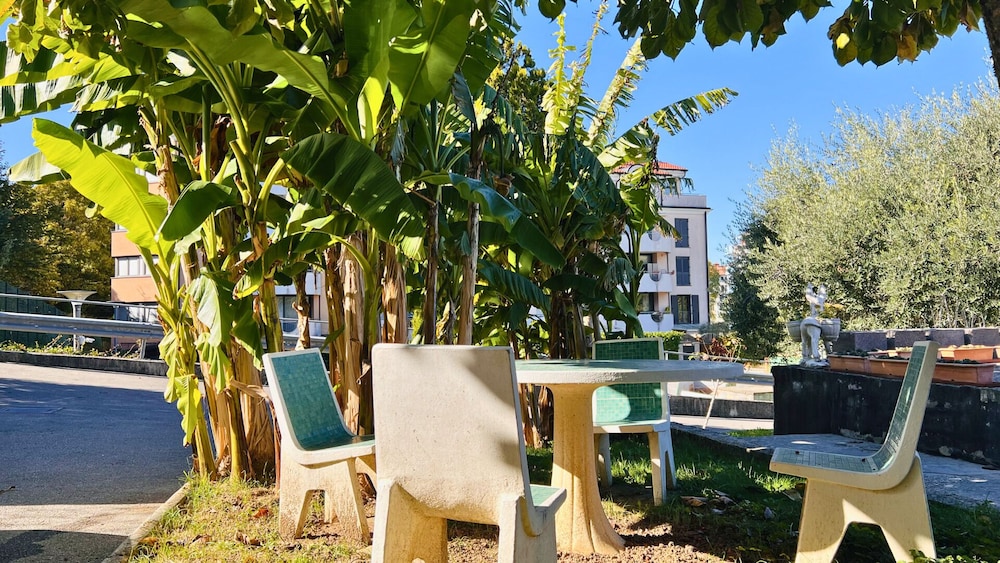 Garden view