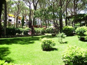 thumbnail: Garden